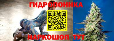 соль ск Обь